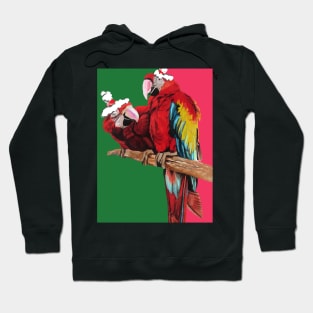 Christmas Macaw - Here Comes Santa Macaws! - on Red and Green Hoodie